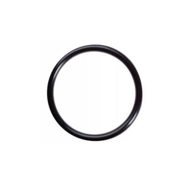ORING PARA FUELLE ANDINO